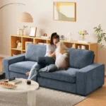3 seating blue color modern loveseat sofa placed in a living room and a girl is sitting on it with her cute dog